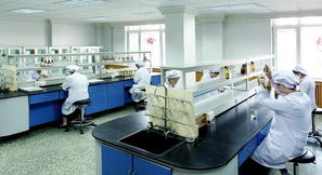 豪華賽皇宮，藥價(jià)為何高？——透視哈藥六廠事件中的網(wǎng)絡(luò)技術(shù)與輿論影響