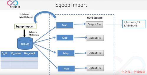 八款主流數據遷移工具技術選型解析，助力數據處理技術開發